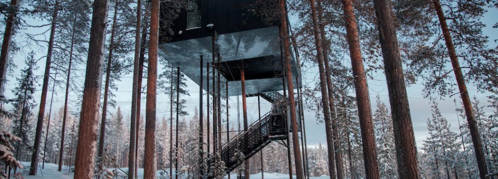 the-7th-room-treehouse