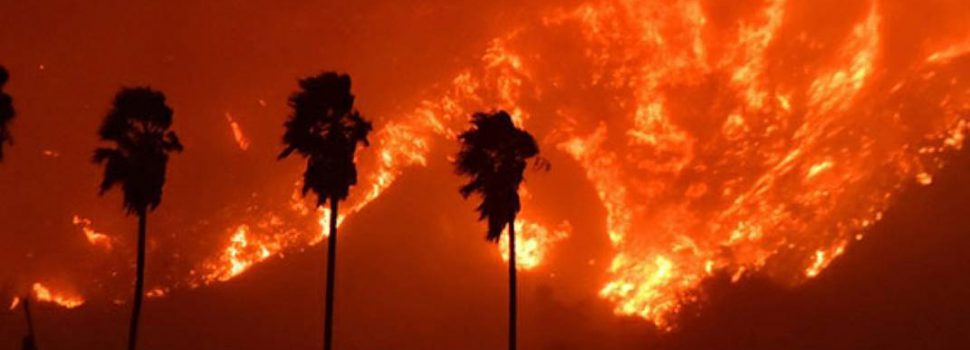 Los Angeles bosbrand
