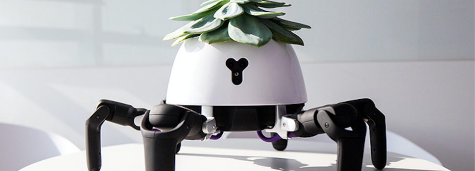 plant-robot