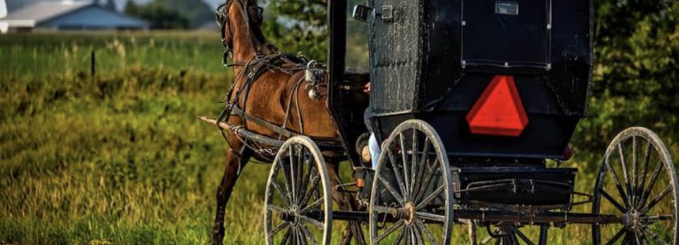 Amish gelovigen op de vlucht