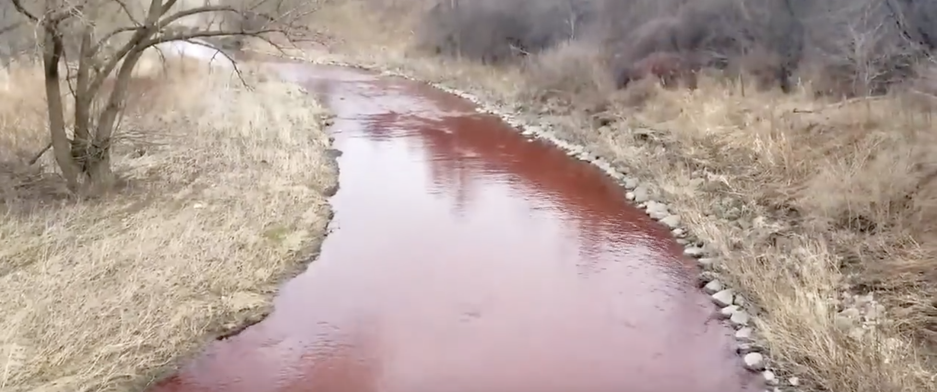 Красная река слова. Розовая река. Красная река. Река с красной водой.