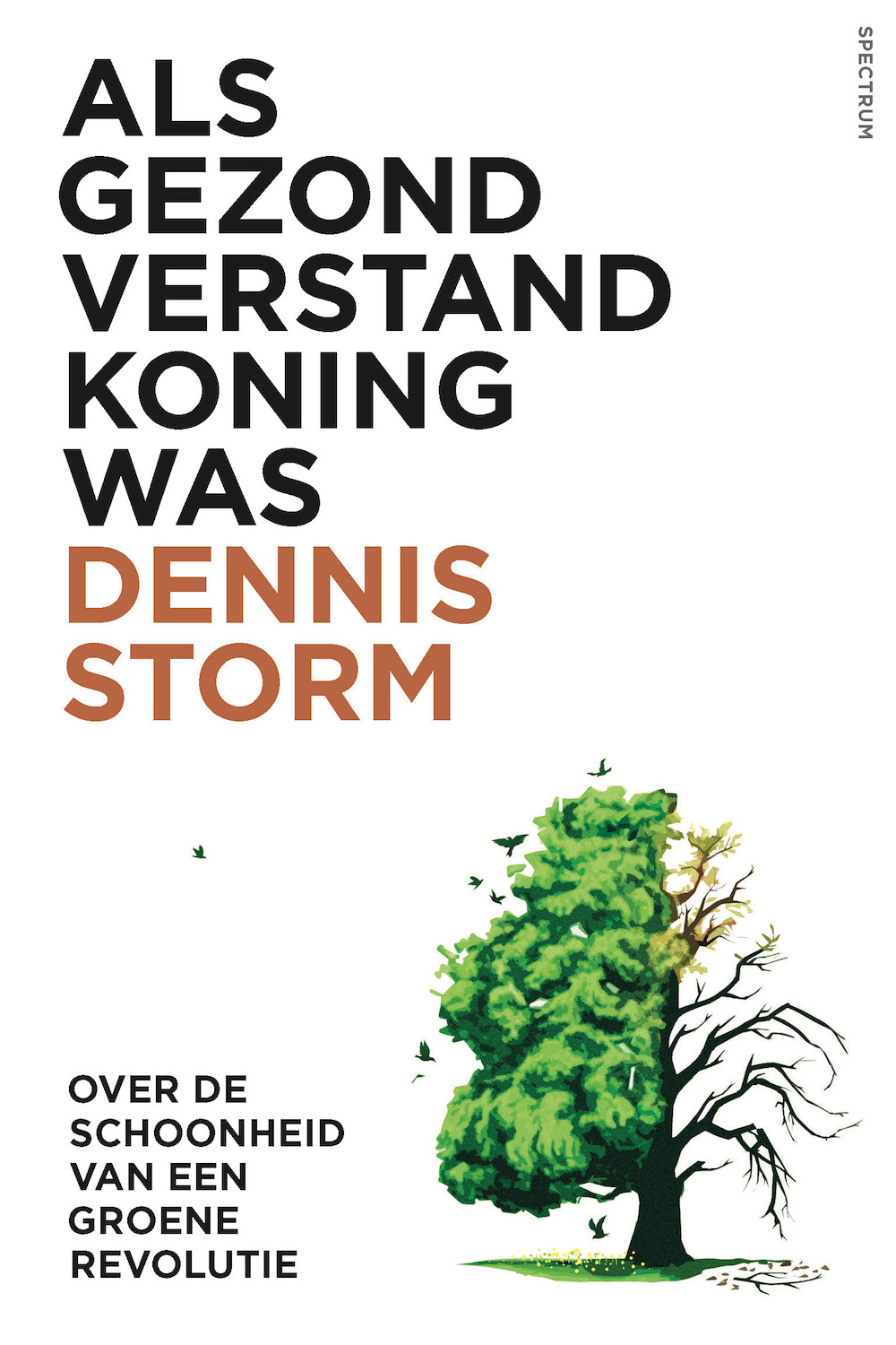 Gezond Verstand Dennis Storm