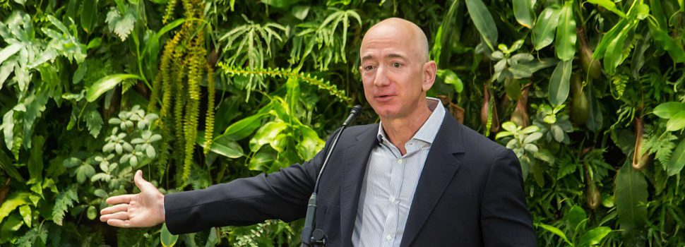 De ex-vrouw van Jeff Bezos is de rijkste vrouw ter wereld