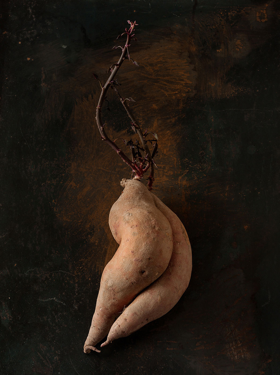 Beth Galton - Garnet Sweet Potato